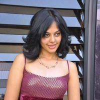 Bindu Madhavi Hot in Pink Gown Dress - Pictures | Picture 120977
